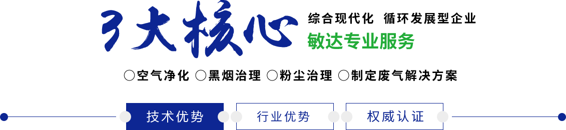 大鸡巴操嗷嗷叫视频敏达环保科技（嘉兴）有限公司